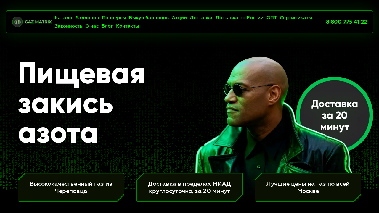 Screenshot of gaz-matrix-fun.com captured during the scan