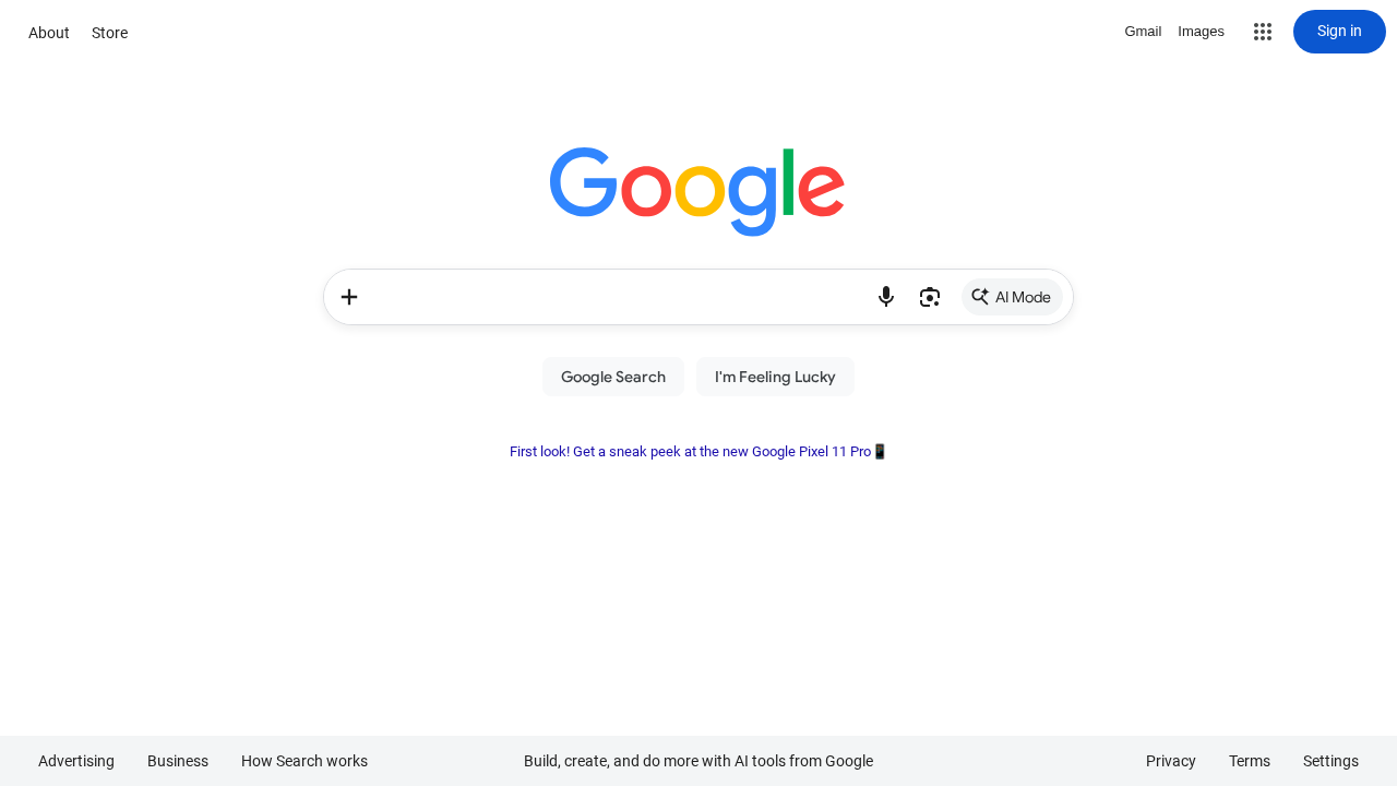 Screenshot of google.com captured during the scan