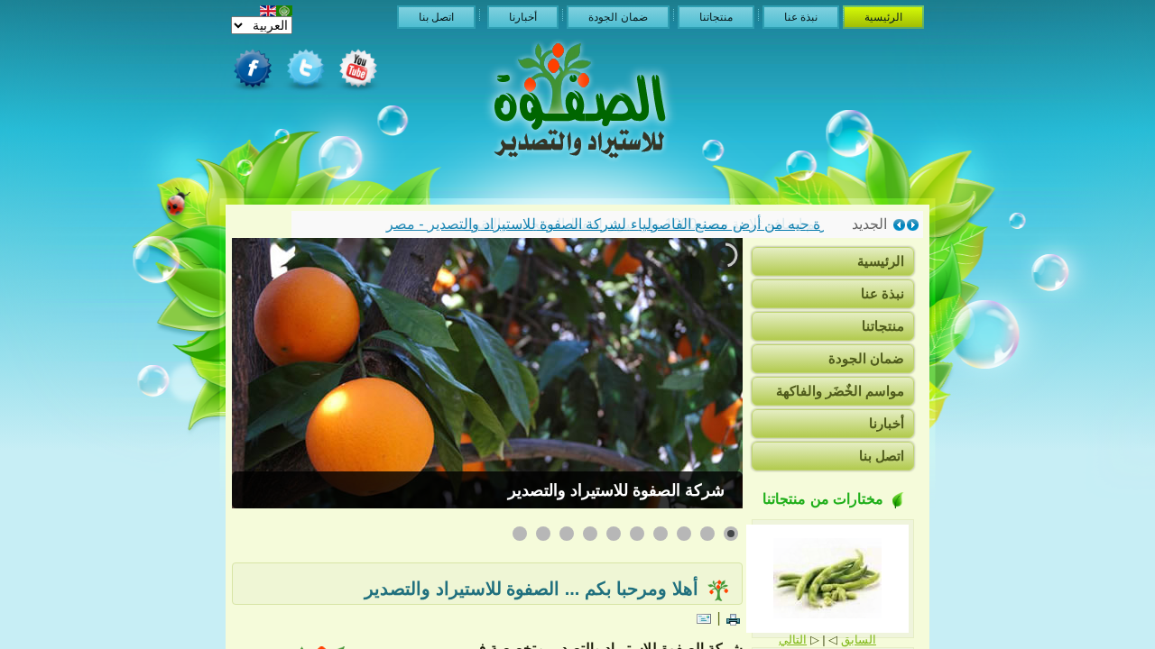 Screenshot of www.alsafwaco.net