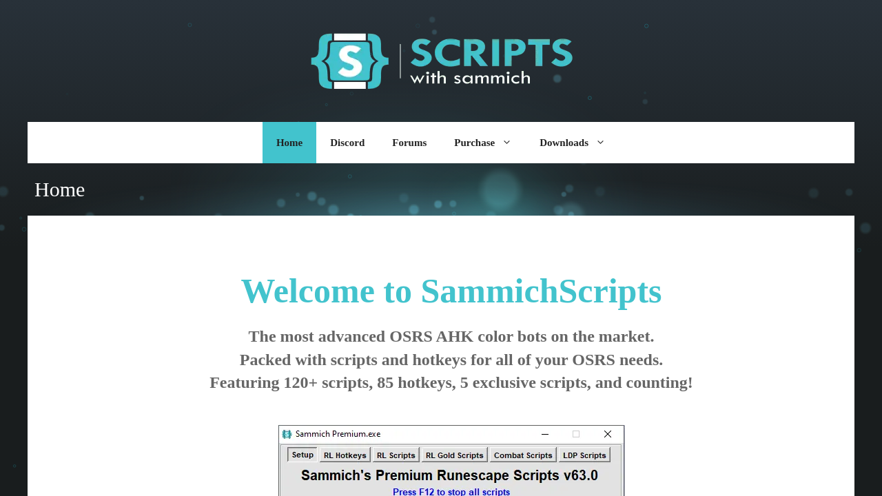 Screenshot of sammichscripts.com