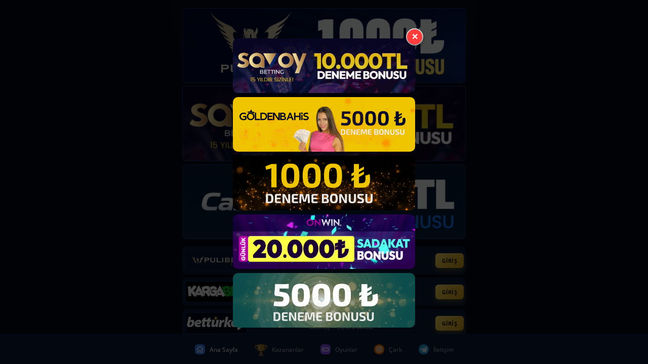 Screenshot of www.teniskortu34.shop